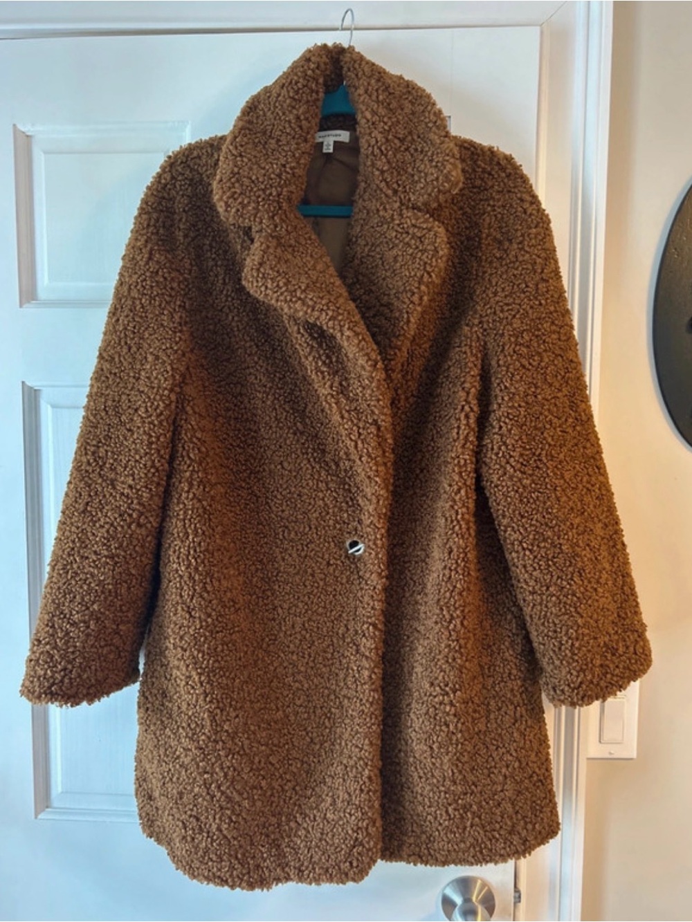 Max Studio Plush Teddy Coat in Rich Brown